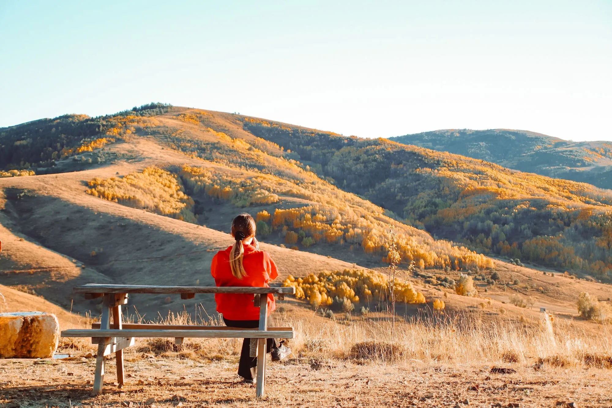A woman sits on a bench looking out over hills turning gold in autumn.