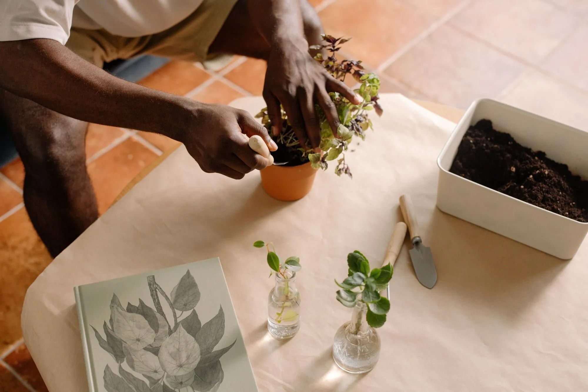 Hands repot a small plant in a terracotta pot on a table covered in brown paper, beside cuttings in glass jars and a botanical book.