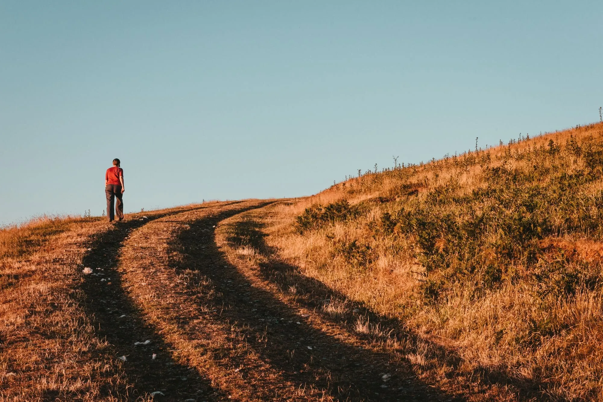 A lone walker climbs a curving dirt track up a grassy hill in evening sun.